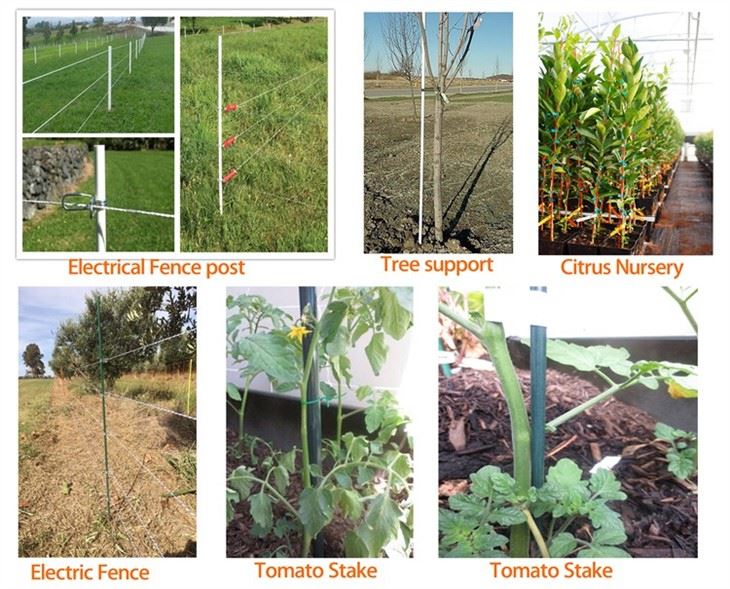 Fiberglass Rod Hoops for Garden